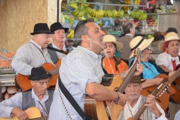 Narea abre como recova con ambiente navideño y de satisfacción general (Foto Francisco Javier Santana y TA)